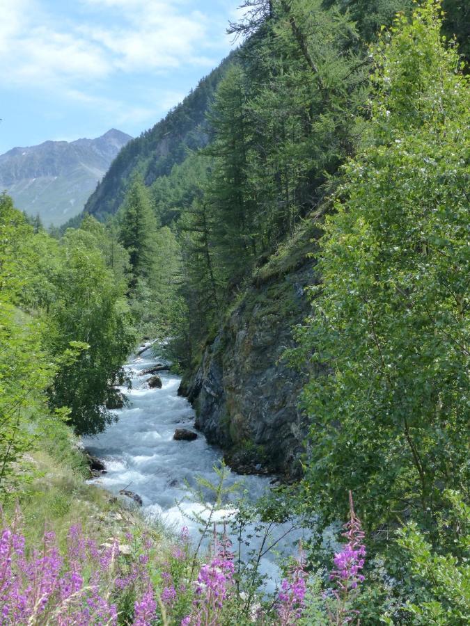 Tranquillite Et Authenticite Au Pied Des Ecrins Villar-d'Arene Exterior foto